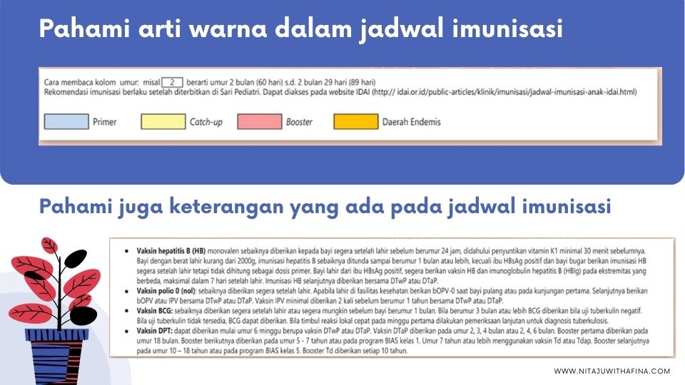 Arti warna jadwal vaksin pada anak